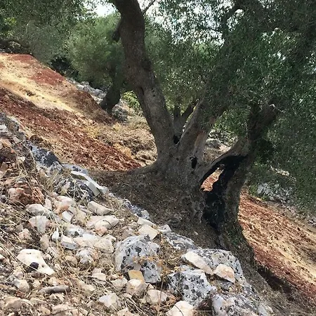 Ferienhaus Trullo Paradiso Degli Ulivi